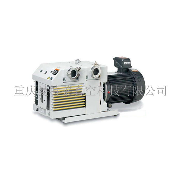 LEYBOLD D65B真空(kōng)泵維修