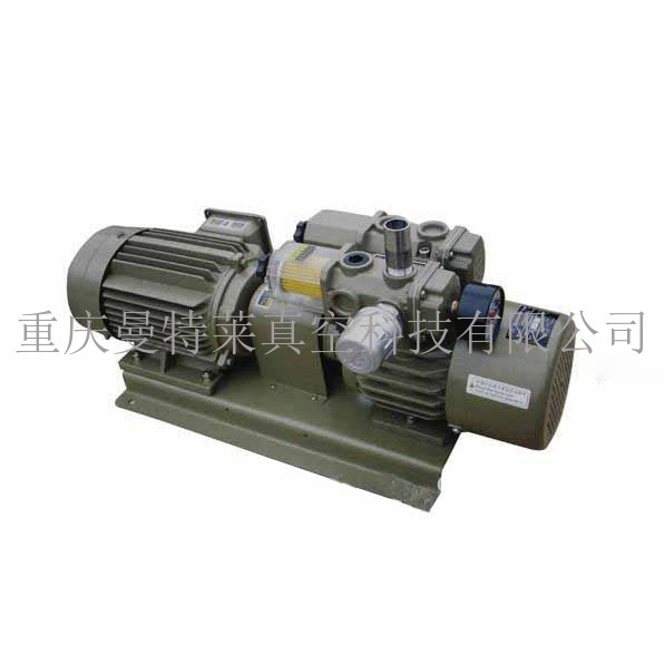 好(hǎo)利旺(ORION)真空(kōng)泵維修